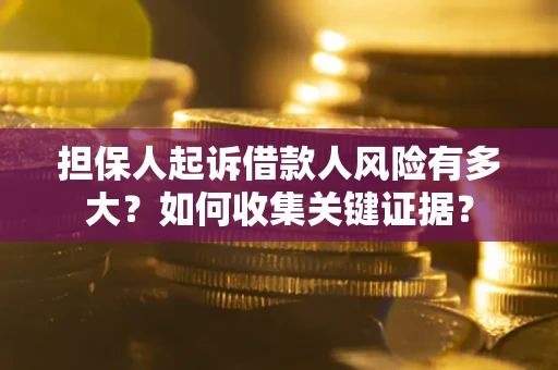北京担保人起诉借款人风险有多大？如何收集关键证据？
