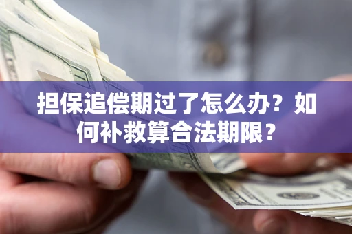 北京担保追偿期过了怎么办？如何补救算合法期限？