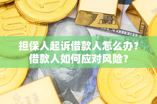 北京担保人起诉借款人怎么办？借款人如何应对风险？